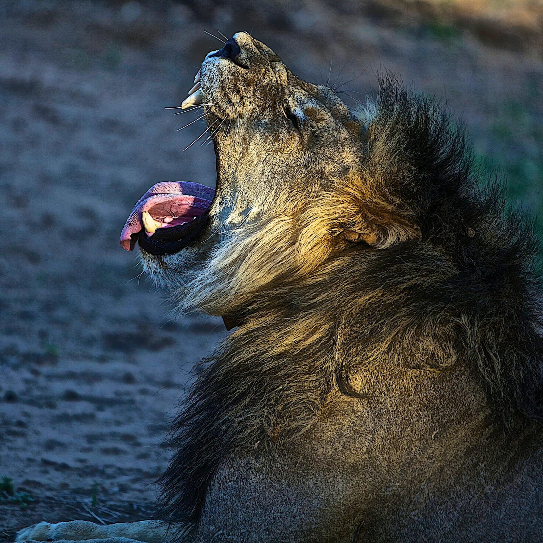 Around Etosha, Namibia