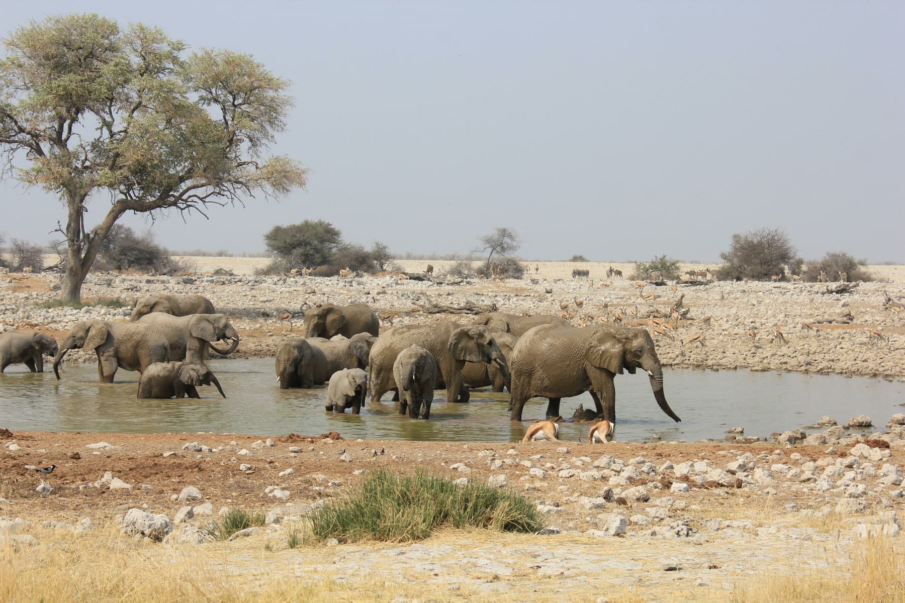 Around Etosha, Namibia