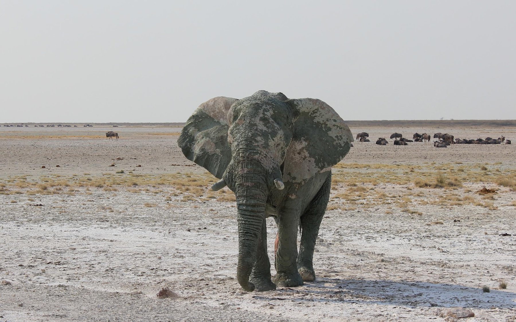 Around Etosha, Namibia