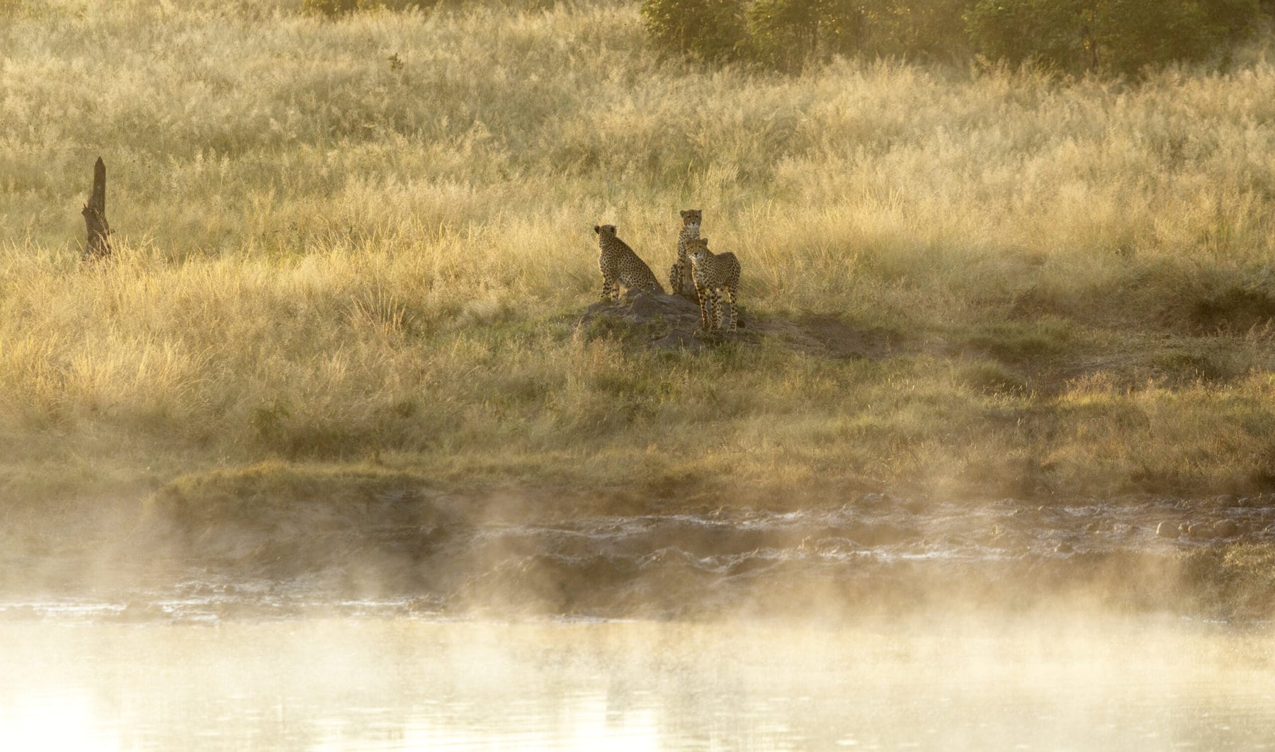 Hwange National Park, Zimbabwe