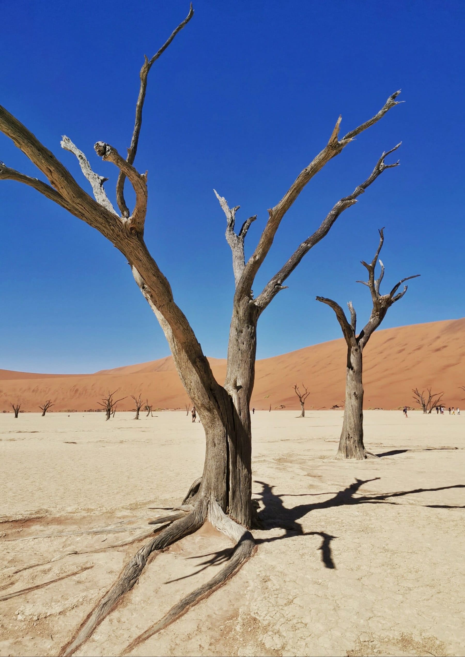 Sossusvlei, Namibia