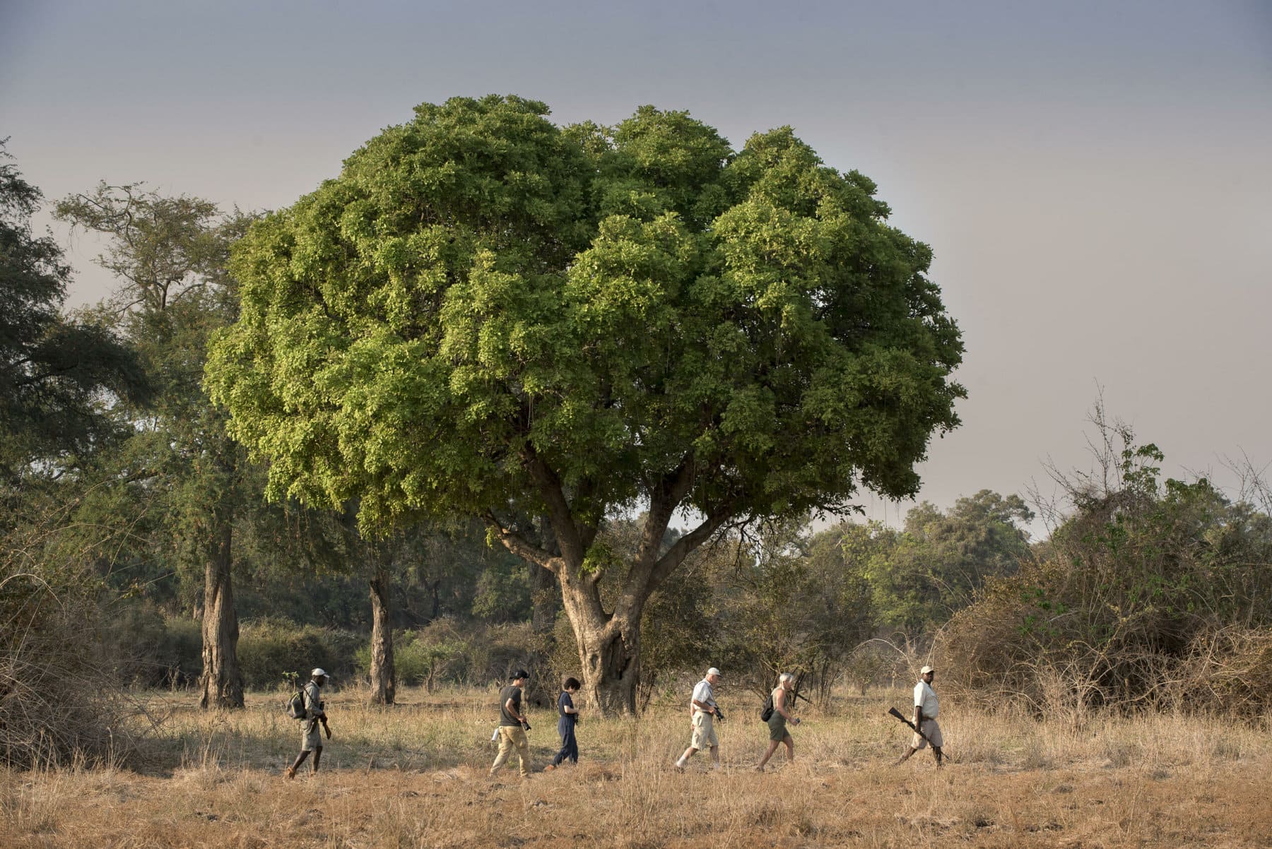 Mana Pools National Park, Zimbabwe