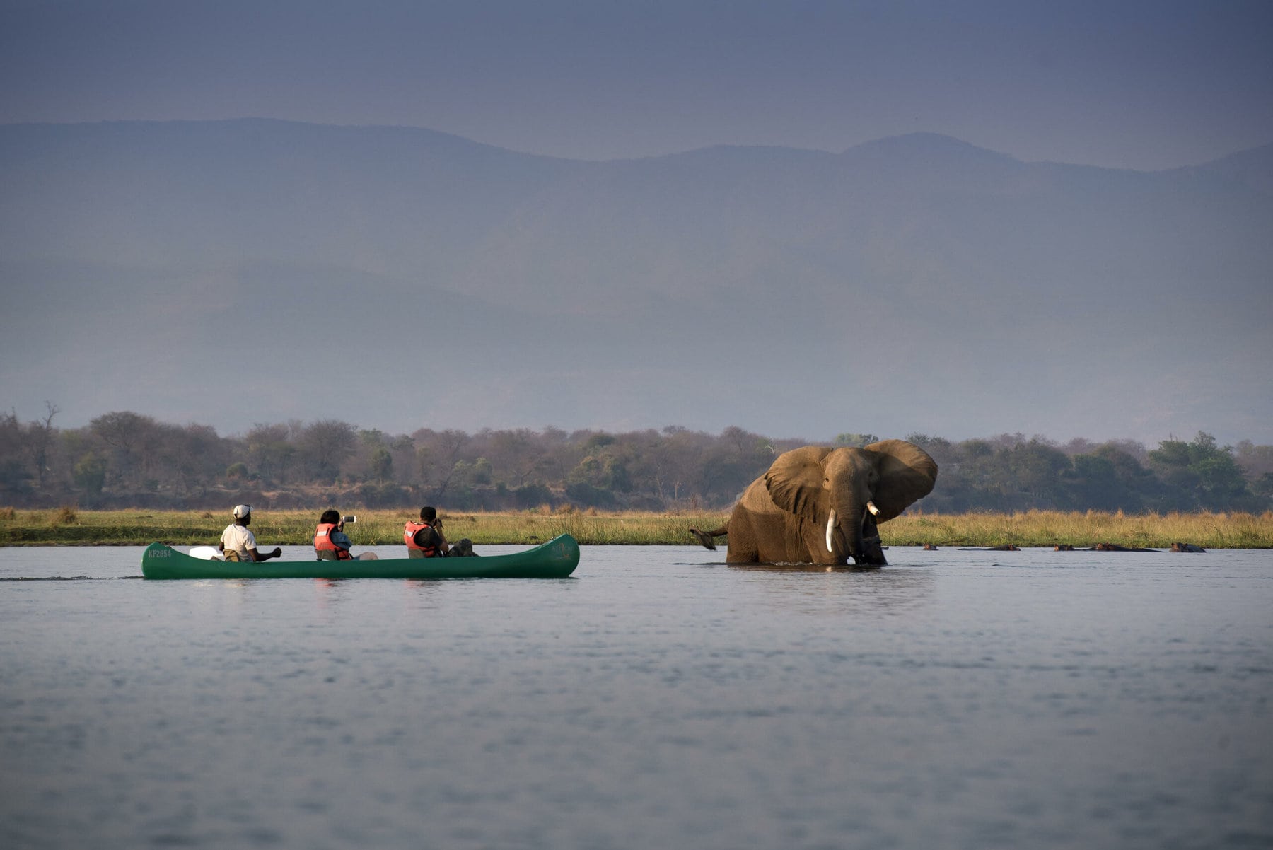 Mana Pools National Park, Zimbabwe