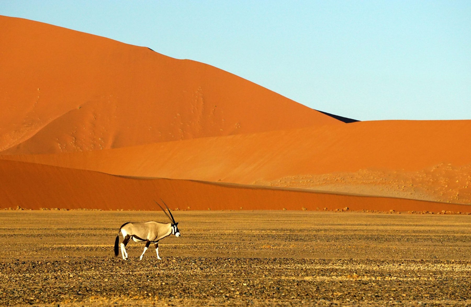 Sossusvlei, Namibia