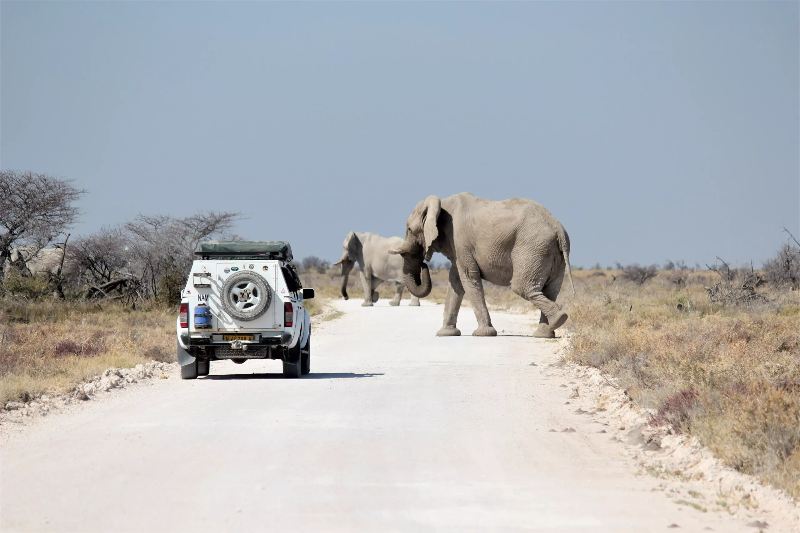 Etosha National Park, Namibia