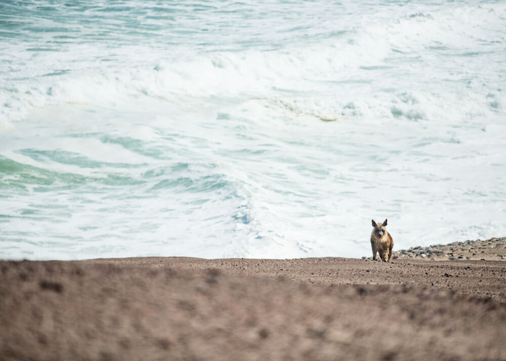 Skeleton Coast, Namibia