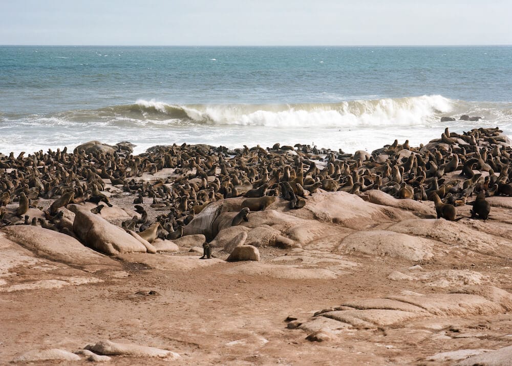 Skeleton Coast, Namibia