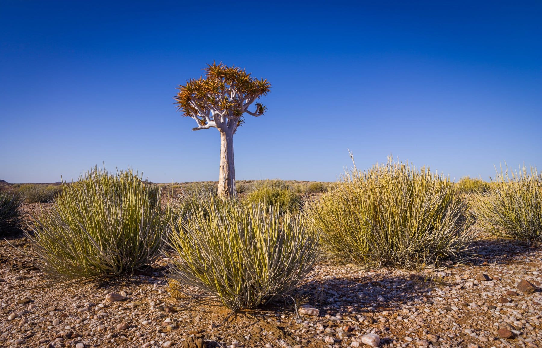 Windhoek, Namibia