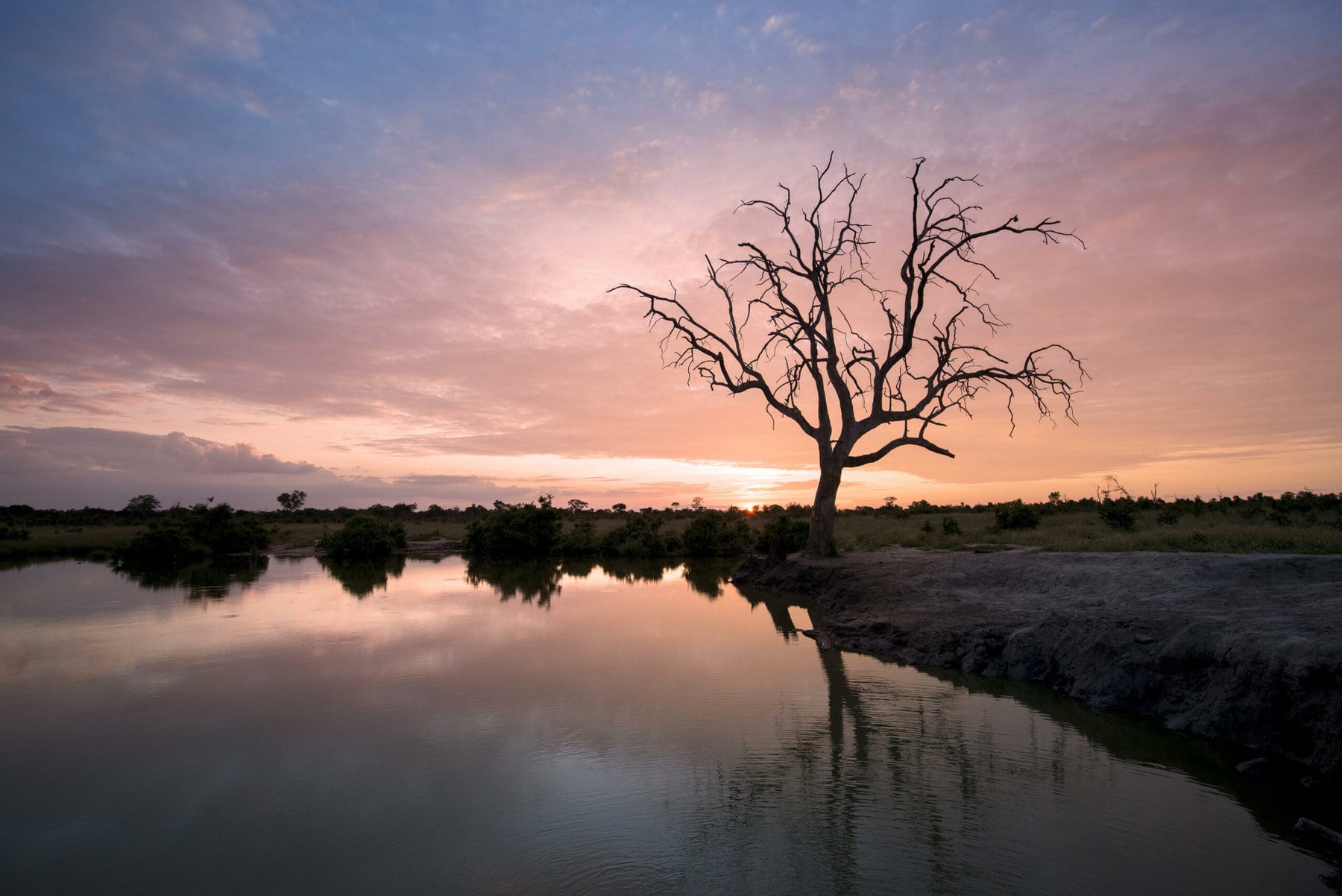 Hwange National Park, Zimbabwe