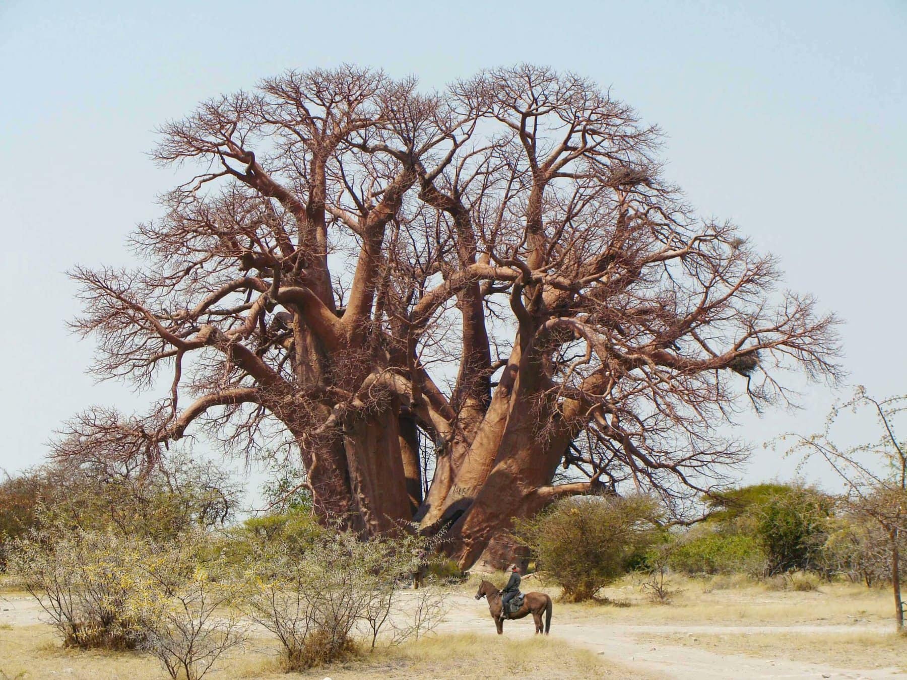 Makgadikgadi, Botswana