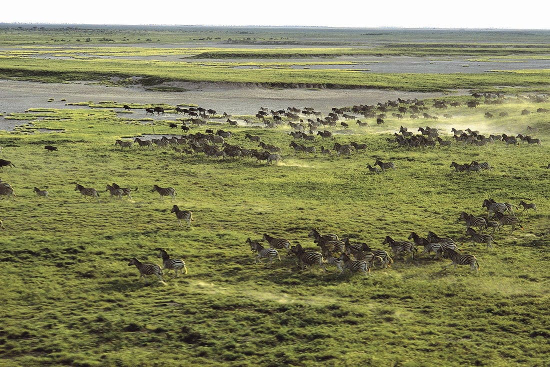 Makgadikgadi, Botswana