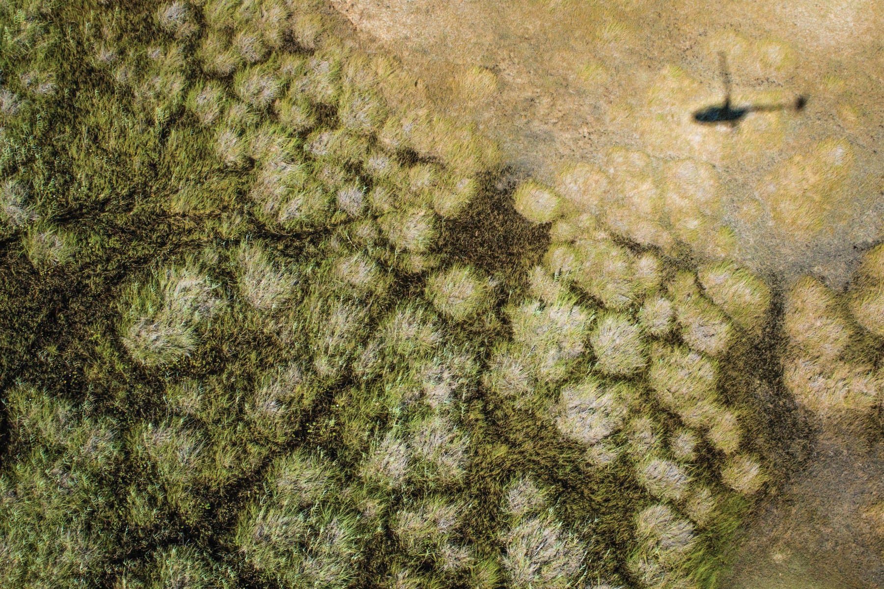Okavango Delta, Botswana