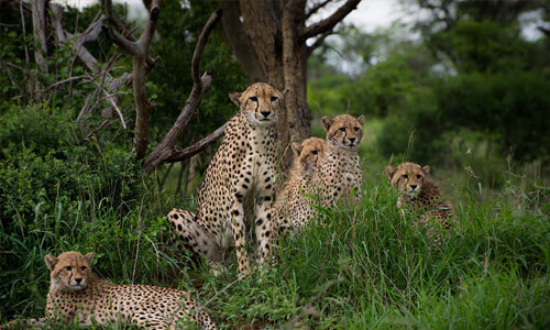 Mkuze, KwaZulu-Natal