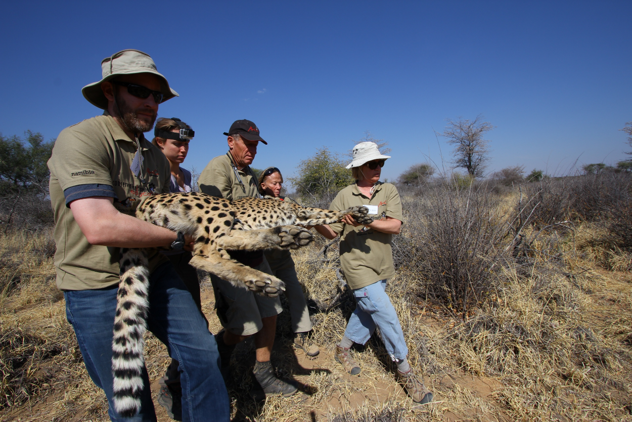 Okonjima, The AfriCat Foundation