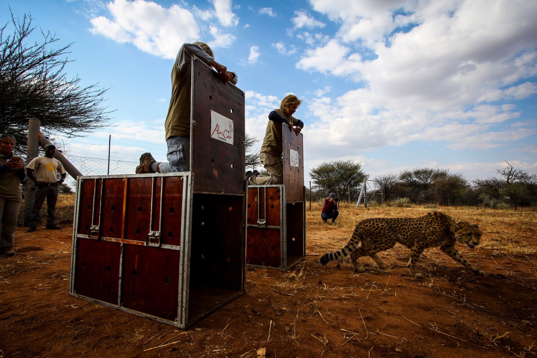 Okonjima, The AfriCat Foundation
