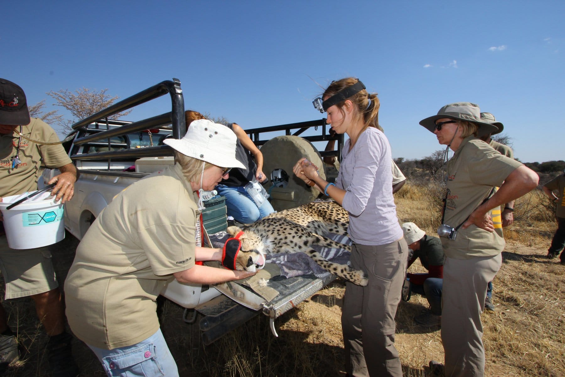 Okonjima, The AfriCat Foundation