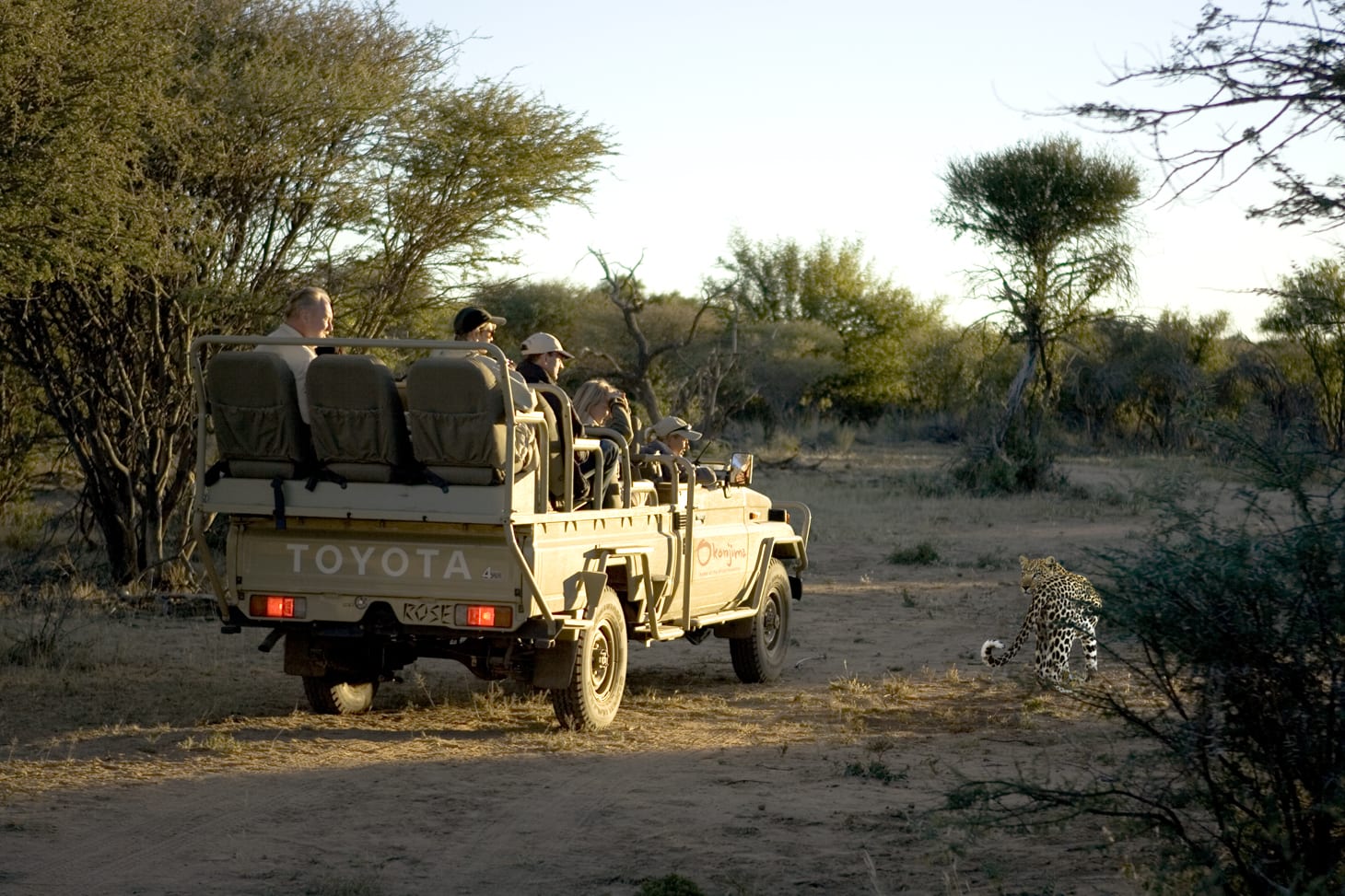 Okonjima, The AfriCat Foundation