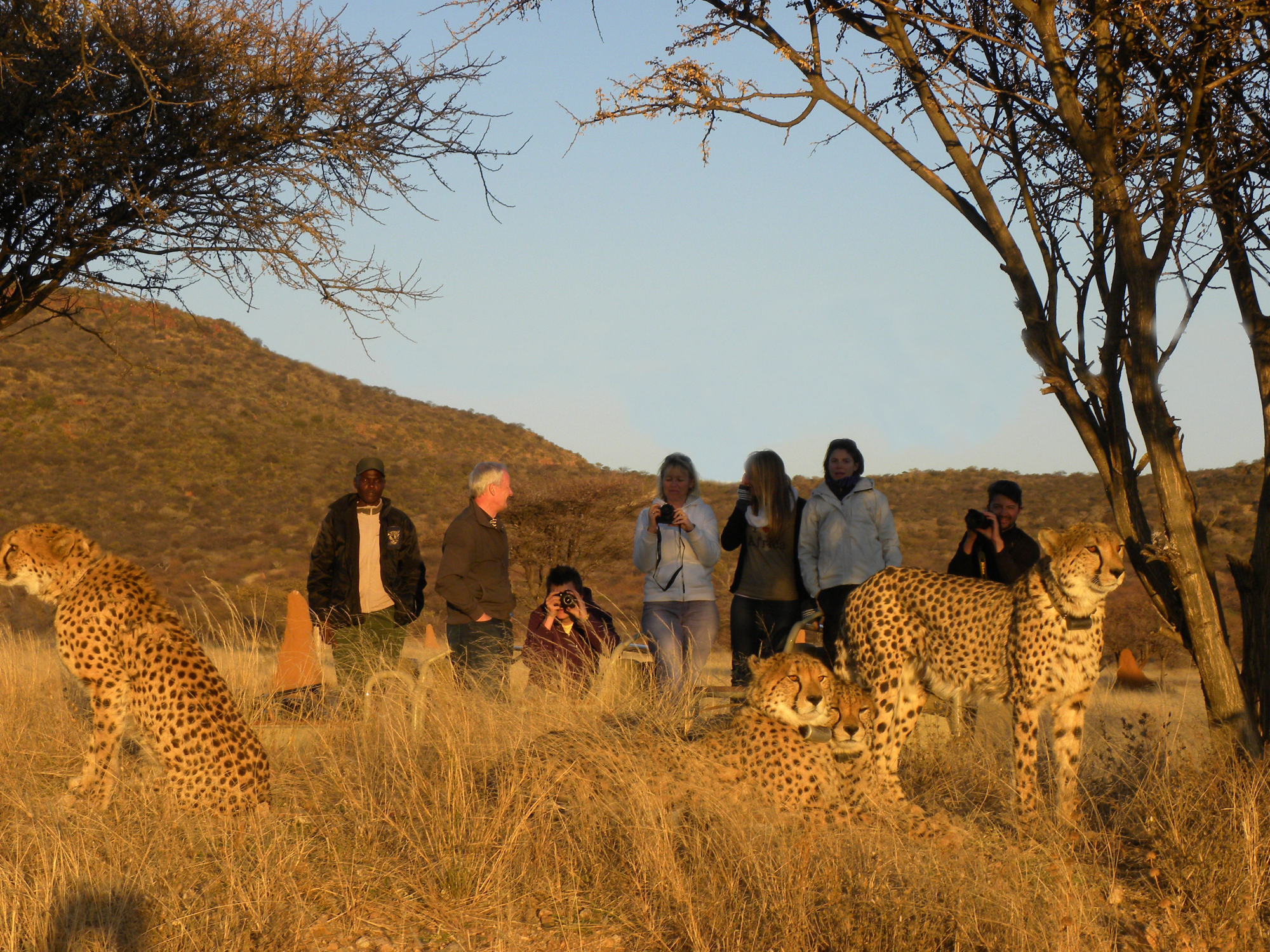 Okonjima, The AfriCat Foundation