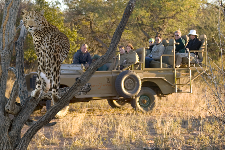 Okonjima, The AfriCat Foundation