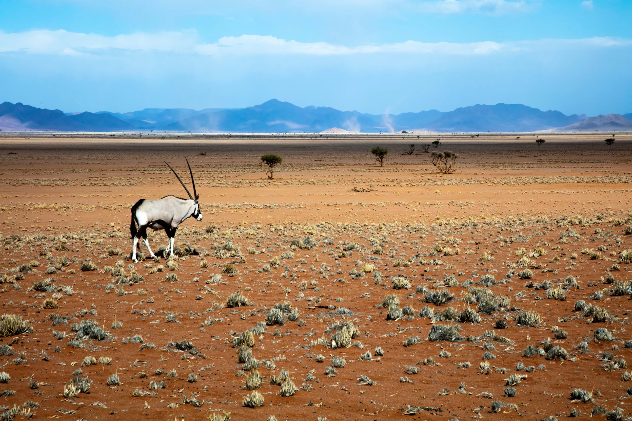 Southern Etosha National Park