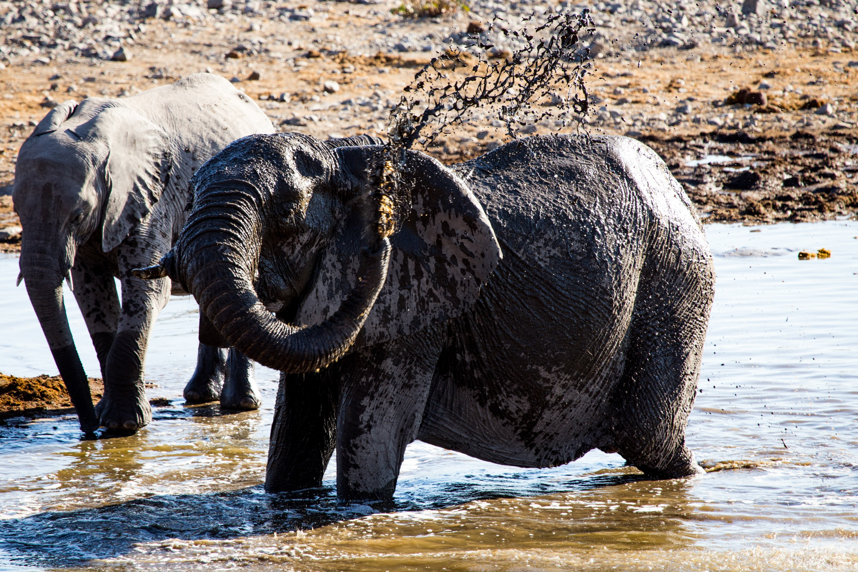 Southern Etosha National Park