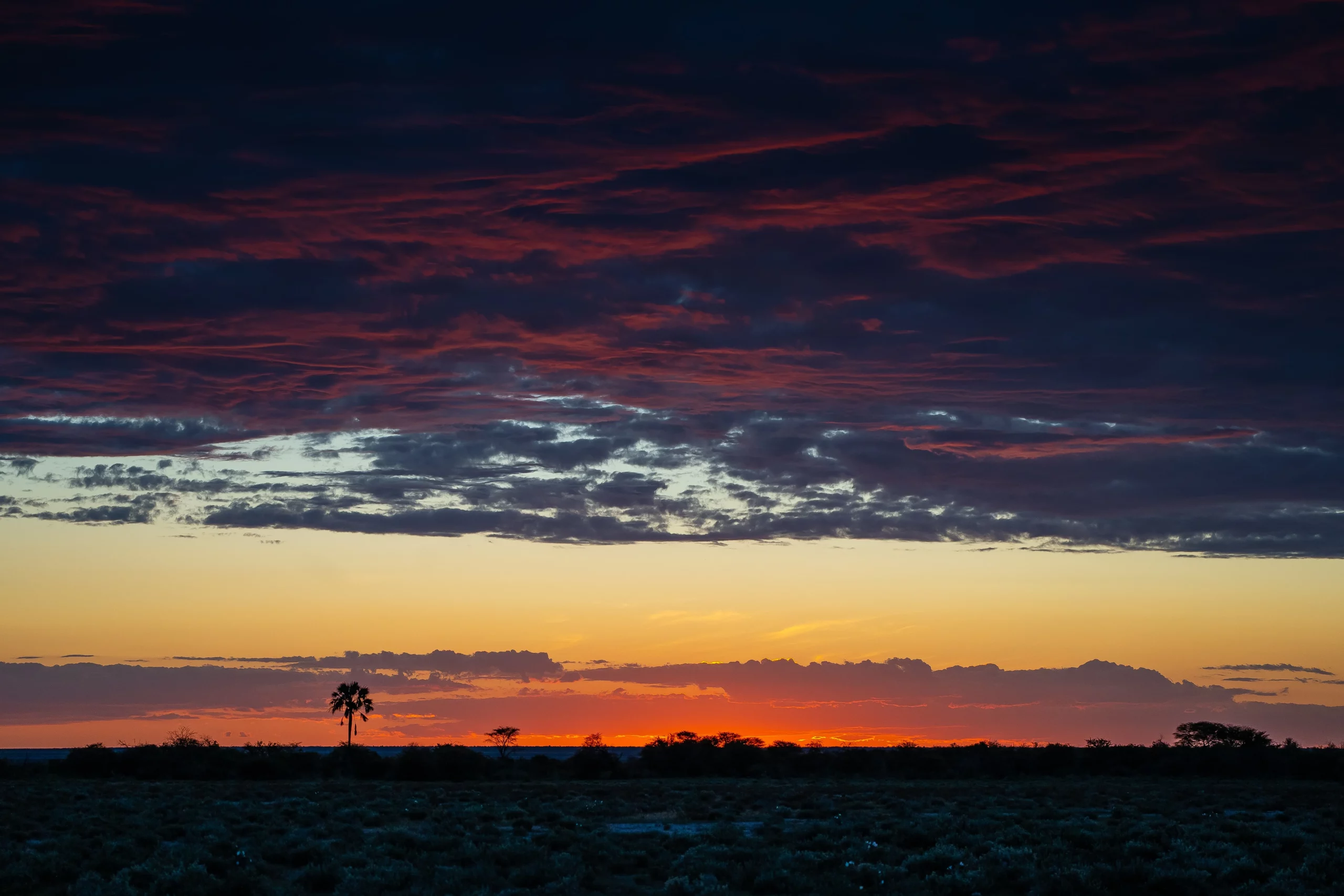 Etosha National Park