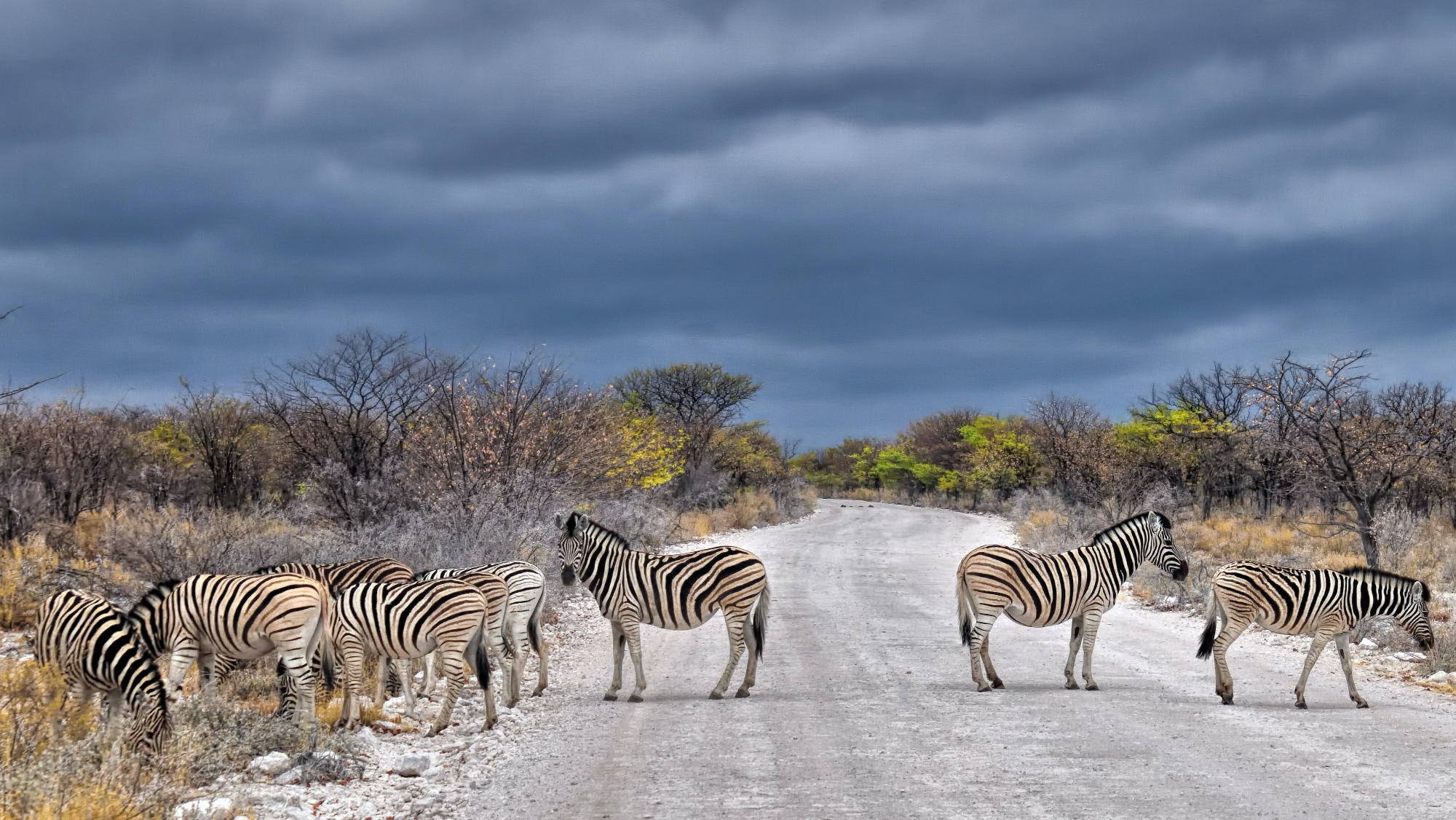 Southern Etosha National Park