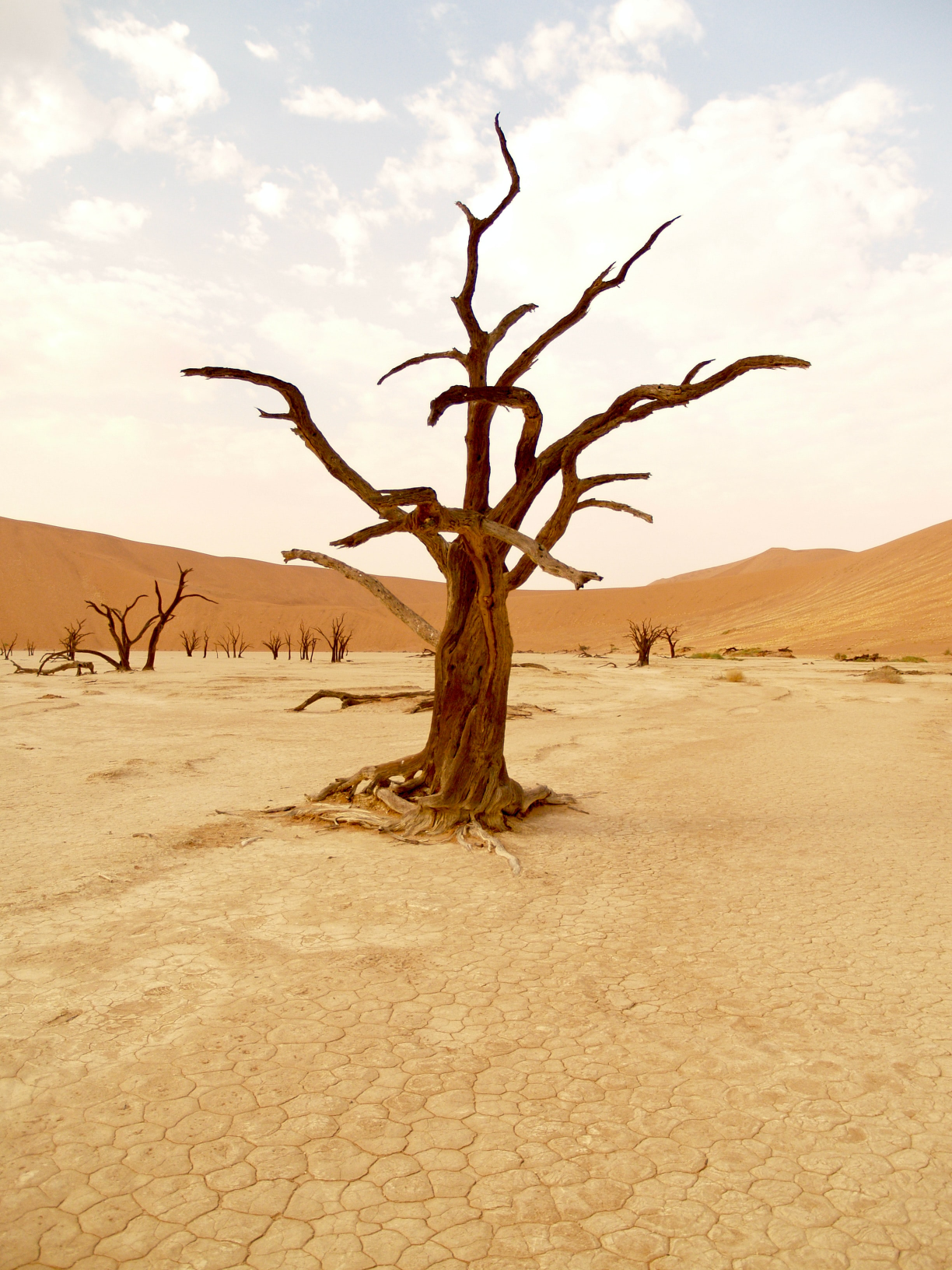 Sossusvlei