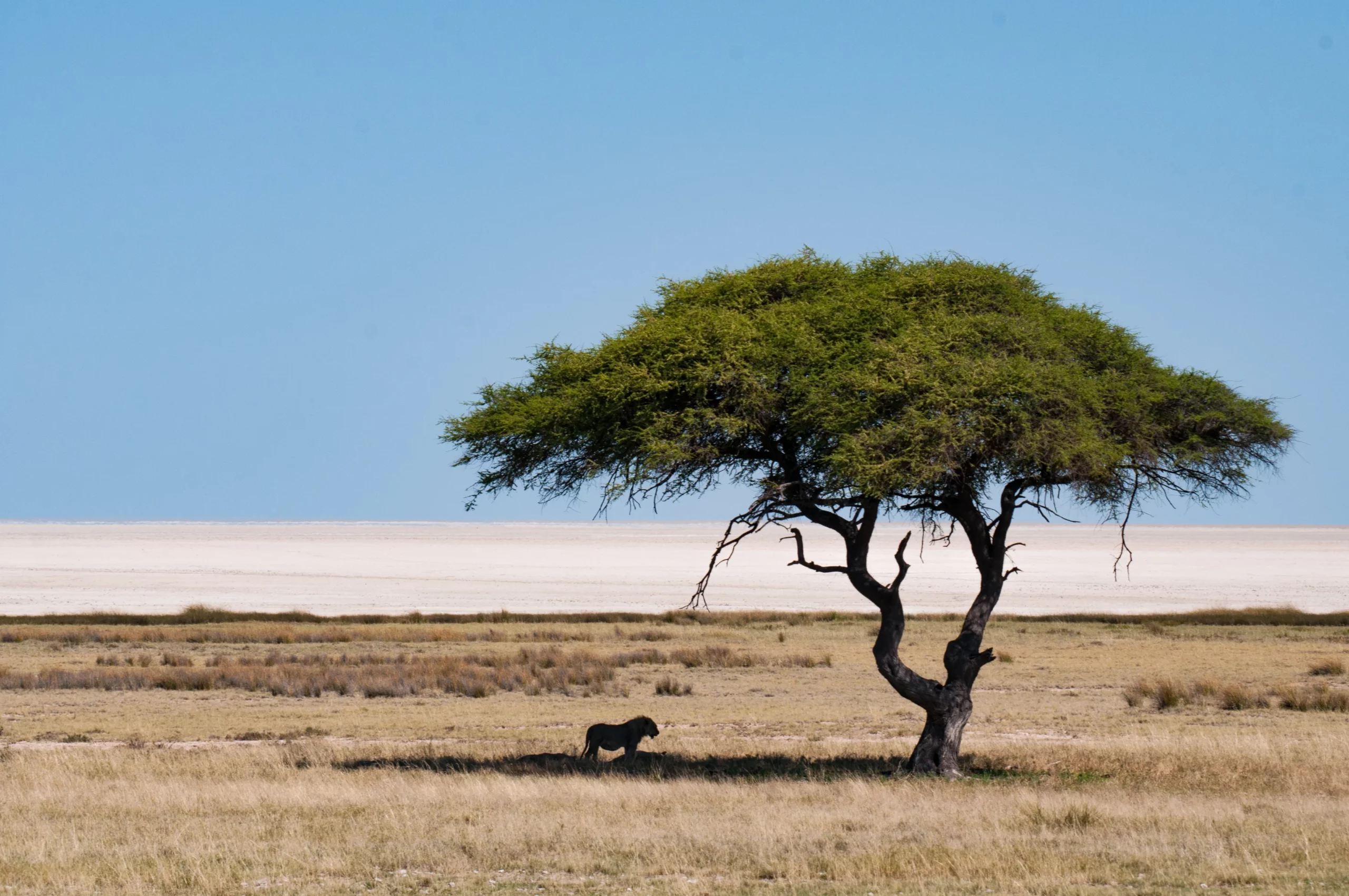 Southern Etosha National Park