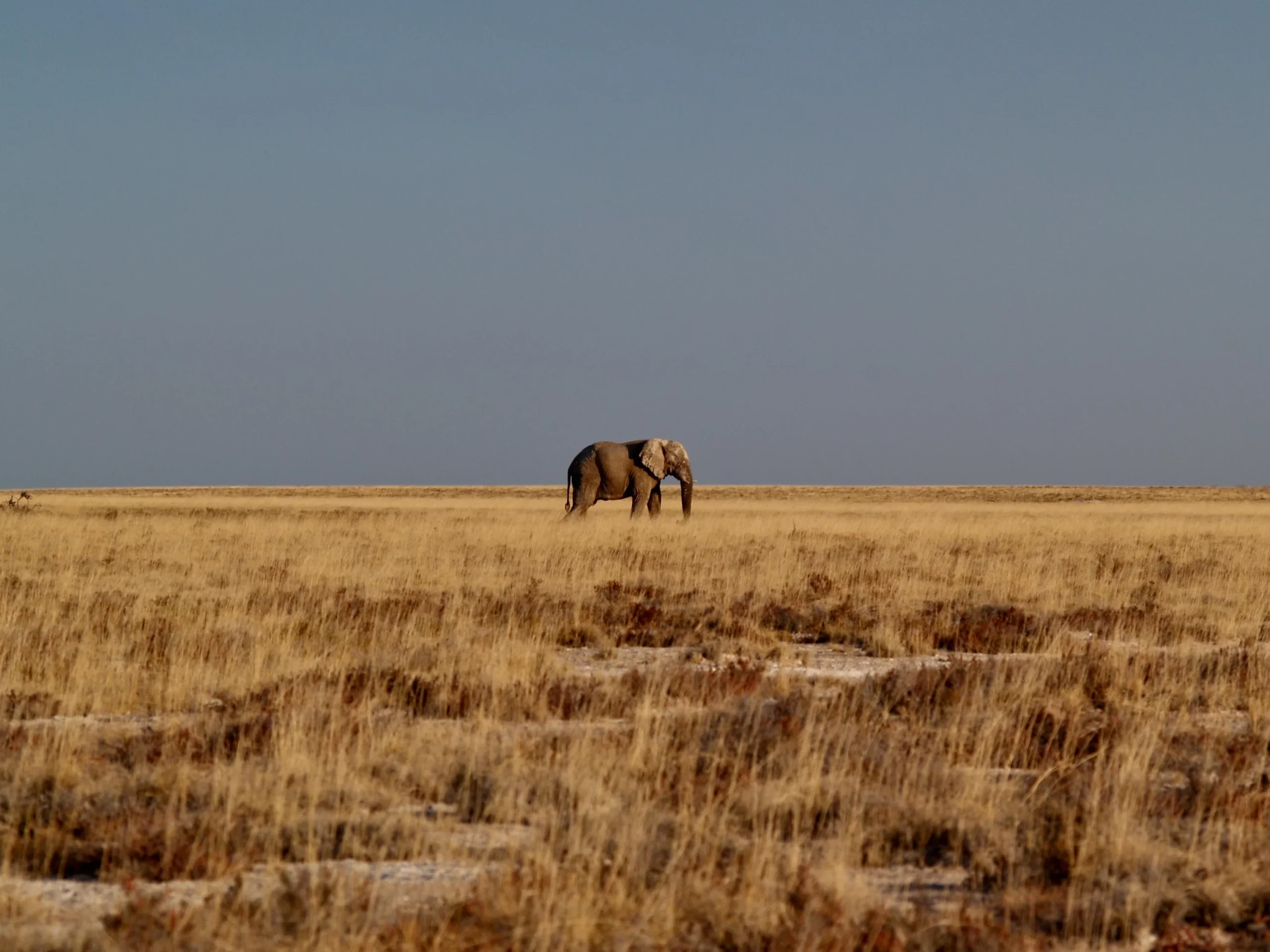 Southern Etosha National Park