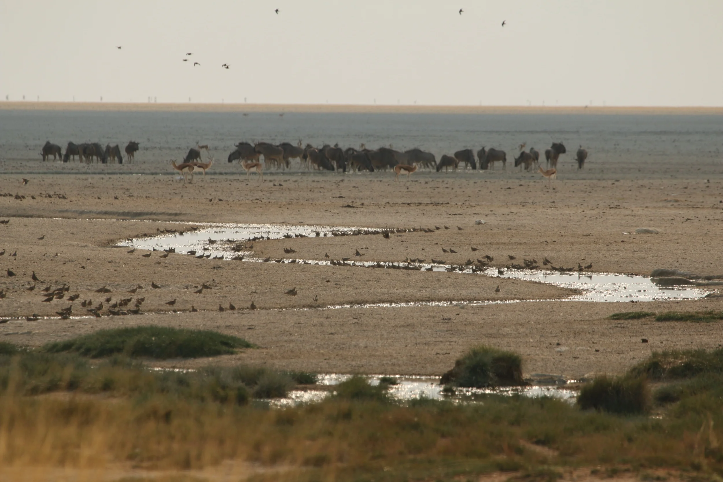 Southern Etosha National Park