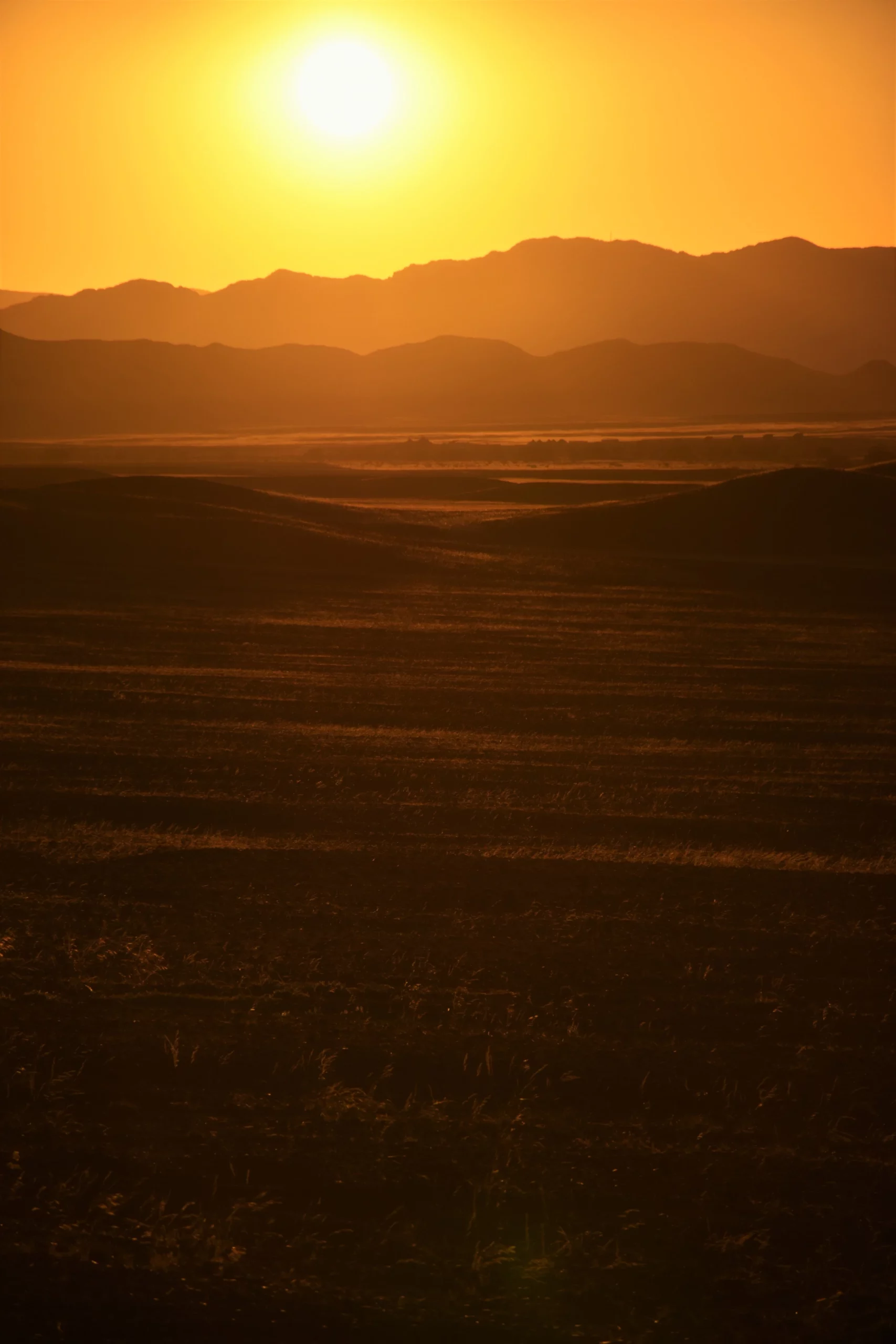 Otjimbondona Kalahari (Windhoek Outskirts)
