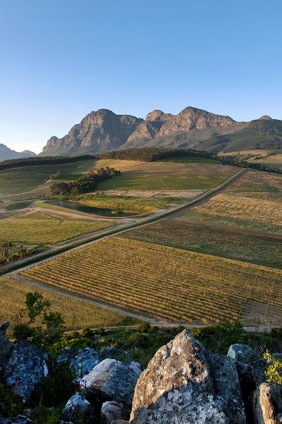 Franschhoek, Cape Town