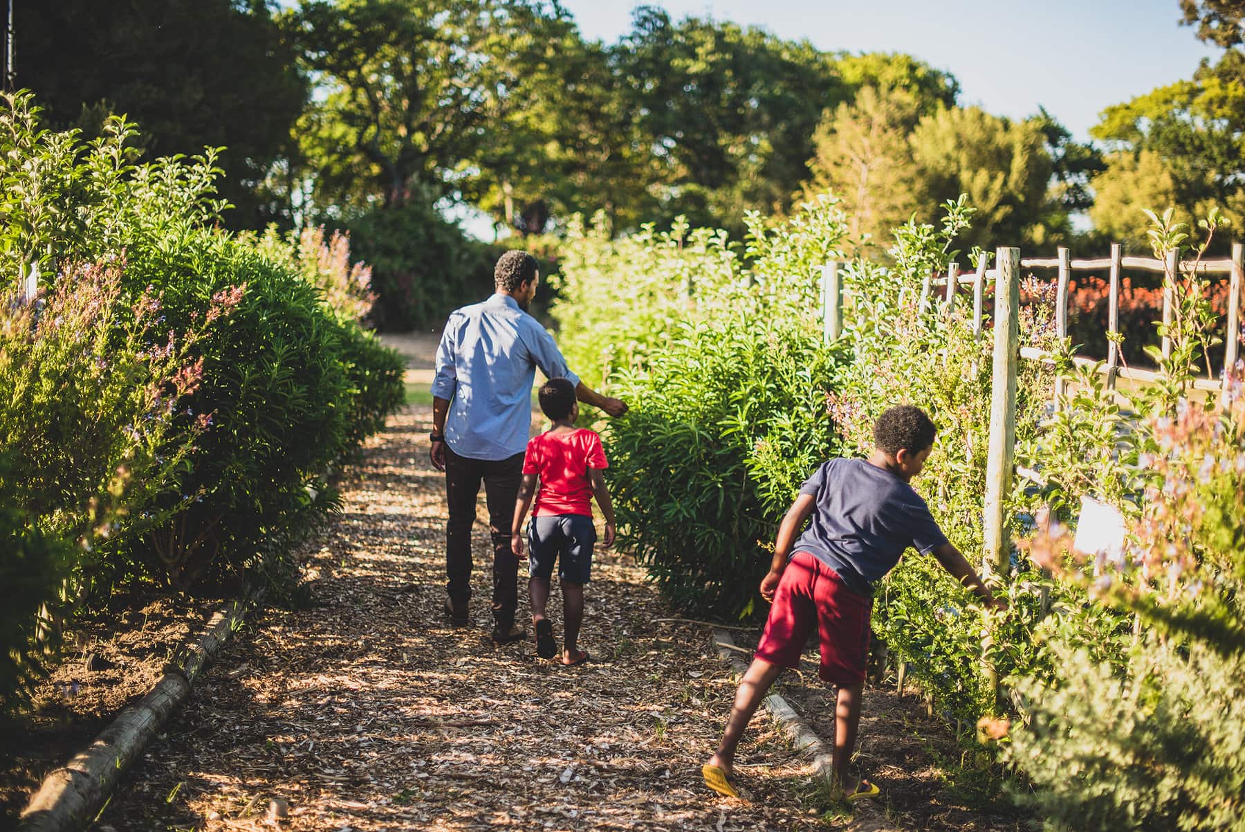 Franschhoek, Cape Town