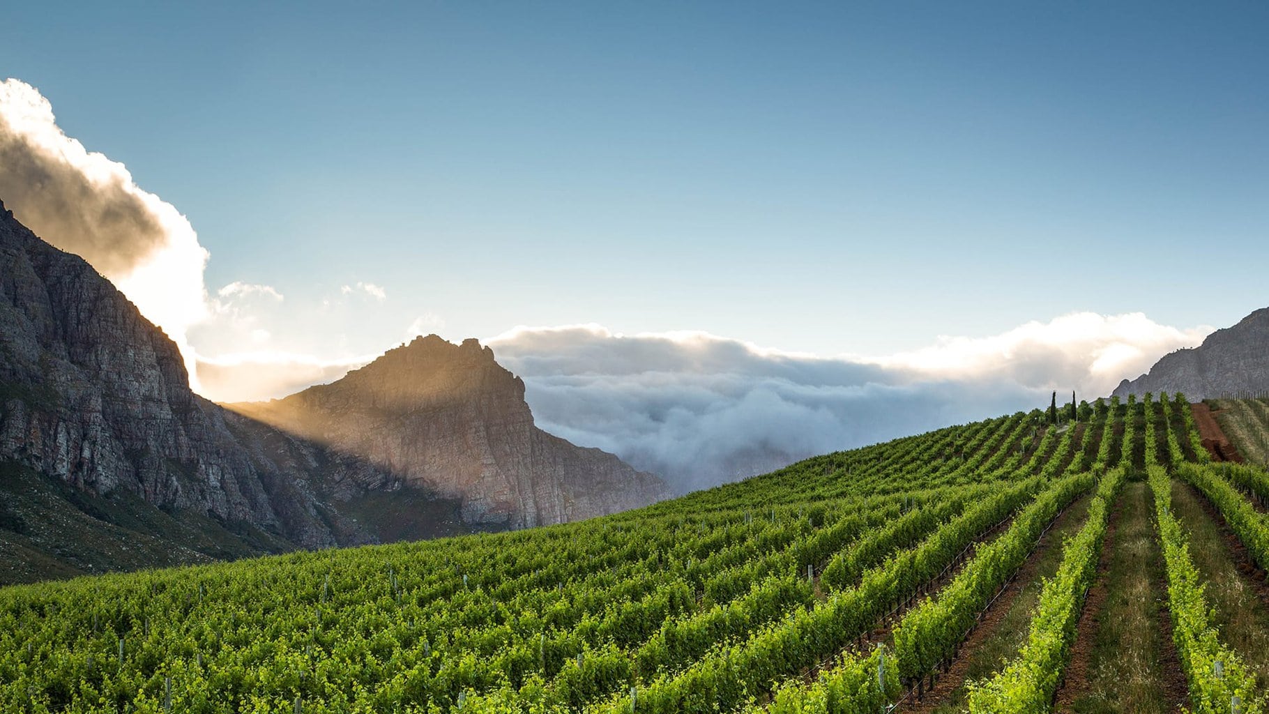 Franschhoek, Cape Town