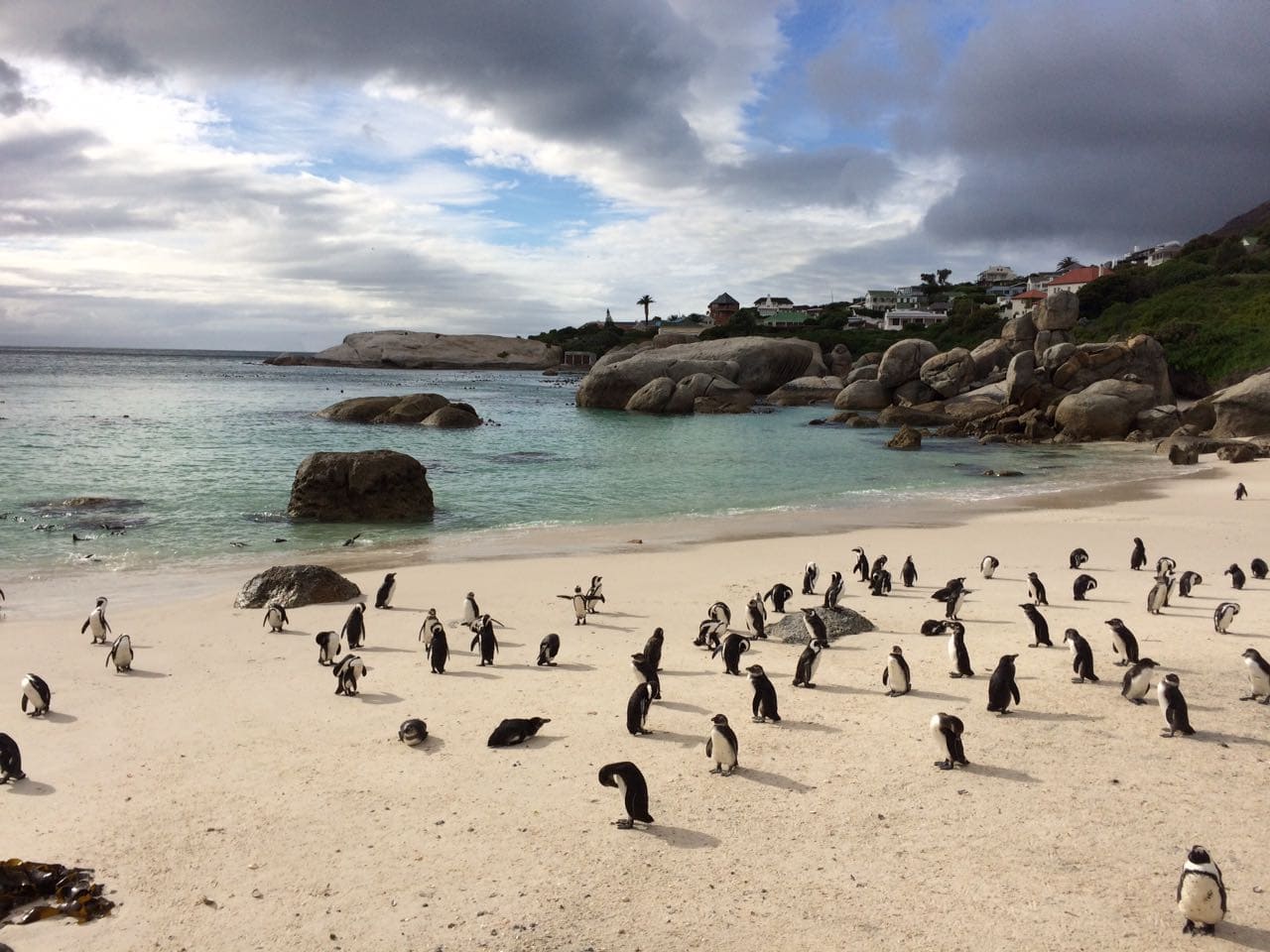 Cape Town, South Africa