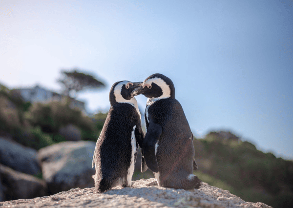 Cape Town, South Africa